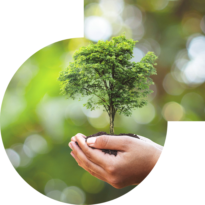 關懷人類、文化、環境與社會